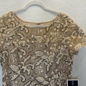 NWT Drapers & Damon’s Special Occasion Mother Of The Bride Embroidered Beaded 16